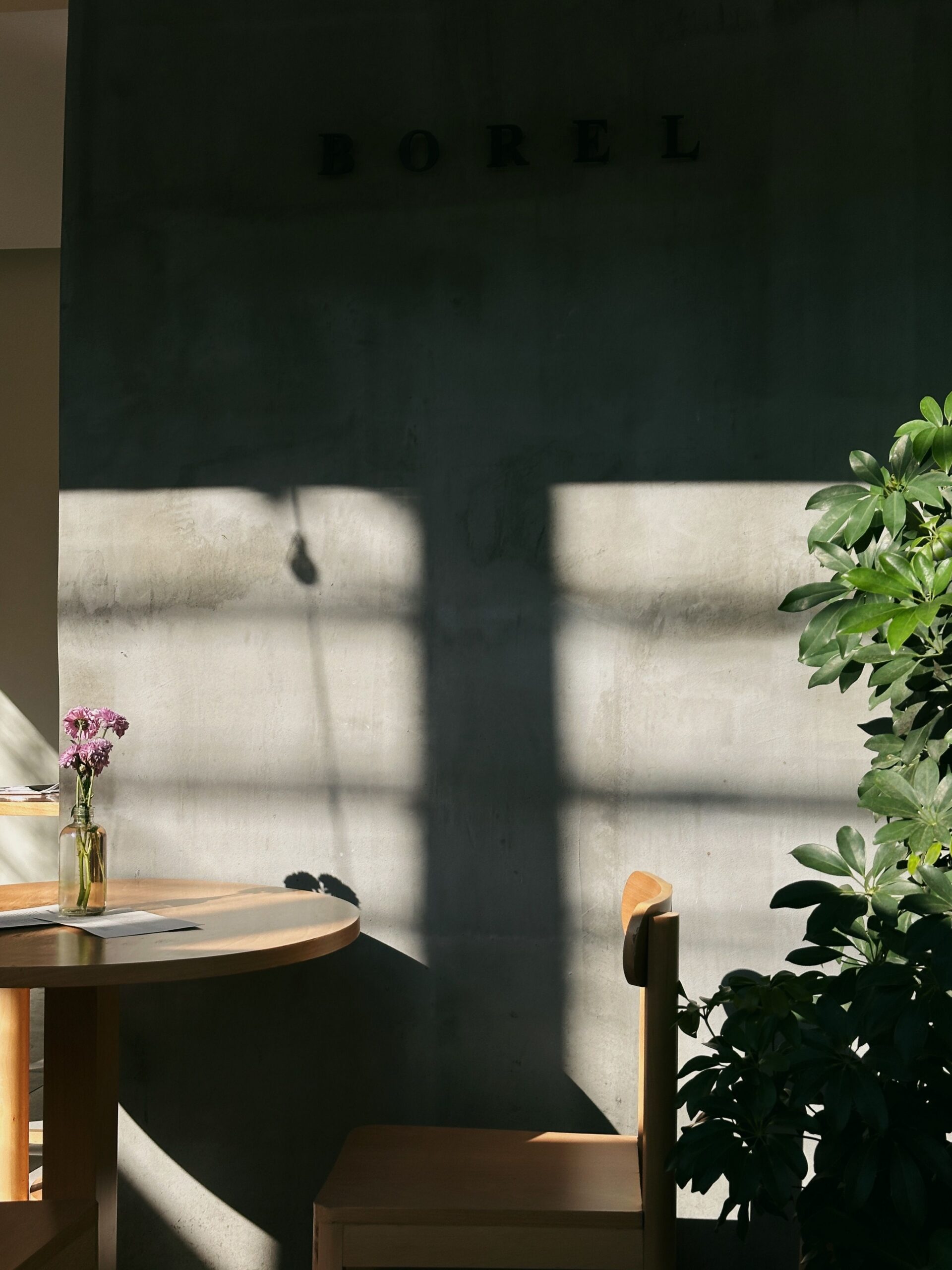 A sunlit café corner with a small vase of pink flowers on a wooden table, a chair and a leafy plant.